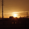 IMGP0825