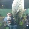 興味しんしん(想い出の北海道14（2006/7））