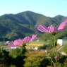 里の秋