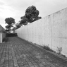 ６×７　＃１８