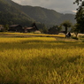 田園風景