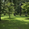 useing@