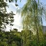 _DSC0093