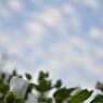 _DSC0221