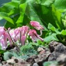 IMG_0826m