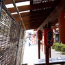 夏の旅路