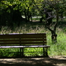 useing@
