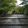 京都・真如堂