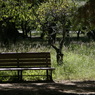 useing@