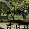 useing@