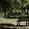 useing@