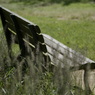 useing@