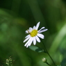 useing@