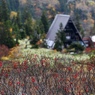火打山の秋、高谷池にて