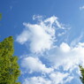 すがすがしい空２