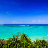 Summer sea