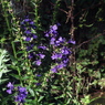 四ツ池公園4041