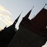 IMG_6007