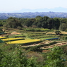 山里