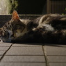 DSC02801