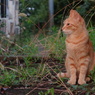 DSC03142