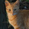 DSC03264