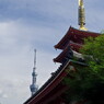 五重塔とスカイツリー