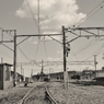 77032457