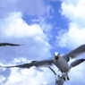 かっぱえびせん