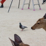 お尻が