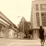 Seattle coupleⅡ