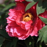 s-7D_2012_04_24_1501