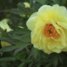 7D_2012_04_24_1473s