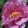 7D_2012_04_24_1496s