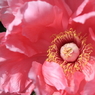 7D_2012_04_24_1512s