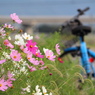 自転車に乗って