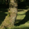 useing@