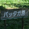 useing@