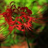 5D-2012_10_03-2782s