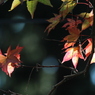A*
