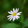 useing@