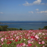 5D3_2928s