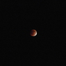 DSCN3924