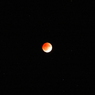 DSCN3939