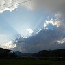 DSCN5077