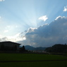 DSCN5082