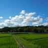 DSCN5111