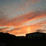 DSCN5168