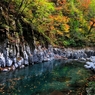 to Autumn