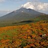 紅葉山行　その８